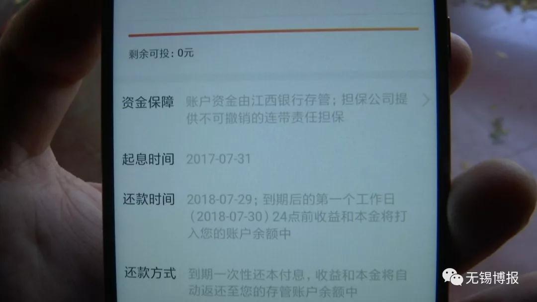 抓钱猫最新动态，引领数字金融新潮流风向标